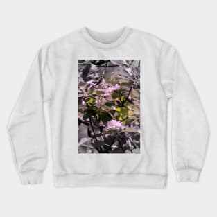 apple blossoms 12 Crewneck Sweatshirt